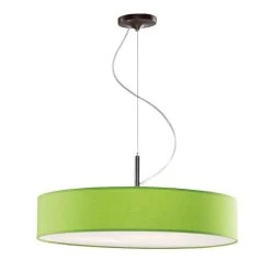 Disco Zen Suspension GM Verte